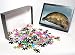 Photo Jigsaw Puzzle of SKULL OF JAVA MAN. Lateral view of cast of skull of Java Man (Pithecanthropus from Granger Art on Demand