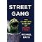 Reflections on Sesame Street