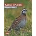 Cailles et colins : Elevage et soins