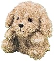 MimicryPet ティーカッププードル スイートミルクティ