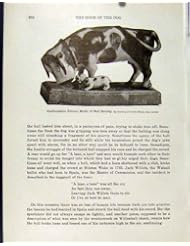 Home: Staffordshire Pottery Model Bull Baiting Old Print Art - old-print