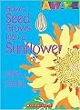 How a Seed Grows Into a Sunflower (Amaze) (Paperback)