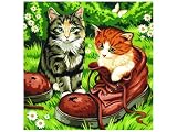 Eigenschaften Mammut A30POCJ5 / Mammut POCJ5 - MnZ Leinwand, Katzen 20 x 20 cm