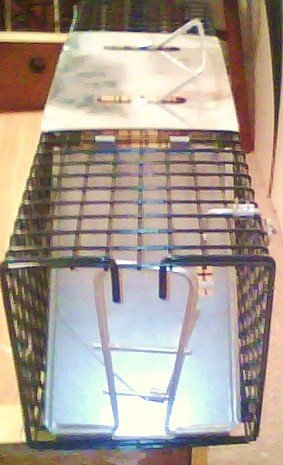 Cage Trap - Catch and Release Live Animal Trap 5x5x18 [Mink, Squirrel, Rabbit, Weasel, ALL Rodents]