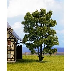 Noch 21660 - Mehrst� mmige Akazie 15 cm