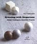 Creating With Soapstone: Simple Techniques, Beautiful Projects