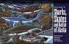 Field guide to sharks, skates, and ratfish of Alaska by  Duane E Stevenson;&nbsp;Alaska Sea Grant College Program.;&nbsp;National Sea Grant Office (U.S.); ; et al 