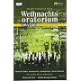 Bach: Christmas Oratorio [DVD] [1999]