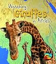 Watching Giraffes in Africa (First Library: Wild World)