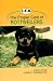   - The Proper Care of Rottweilers