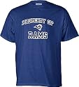 St. Louis Rams Youth NFL Embroidered Short Sleeve Tee Shirt By Reebok