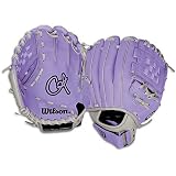 Wilson A0200 9 Cat Web Glove With Ball - Big Kids
