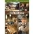 The Waltons - Season 2 - Complete [DVD]