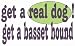 get a real dog! Get a basset hound Hooded Sweatshirt (Hoodie) (Various Colors Available)