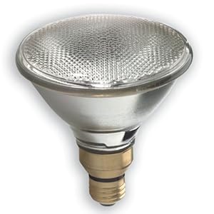 GE 40791 90-Watt PAR38 Outdoor Halogen 3-Year Floodlight