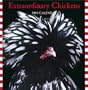 Extraordinary Chickens 2004 Wall Calendar