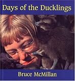 Days of the Ducklings