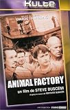 DVD Animal Factory, film DVD Animal Factory