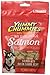 Arctic Paws 4-Ounce Salmon & Bacon Flavor Soft & Chewy Yummy Chummies