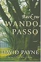 Back to Wando Passo: A Novel