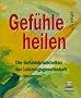 Gef�hle heilen. Die Gef�hlskrankheiten der Leistungsgesellschaft besiegen