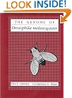 The Genome of Drosophila melanogaster