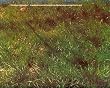 The Nature of Recreation: A Handbook in Honor of Frederick Law Olmsted