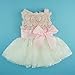 Fitwarm Pink Rose Lace Pet Dog Wedding Dress Bride Formal Clothes Tutu Vest, X-Small
