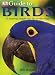 Books : Birds (Dk Guide)