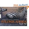 Wildnis Afrika - Tag f�r Tag: Tierwanderungen in der Serengeti