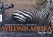Wildnis Afrika - Tag für Tag: Tierwanderungen in der Serengeti
