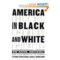 America in Black and White: One Nation, Indivisible