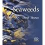 Seaweeds (Life)