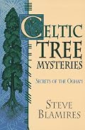Celtic Tree Mysteries: Practical Druid Magic & Divination (Llewellyn's Celtic Wisdom Series)