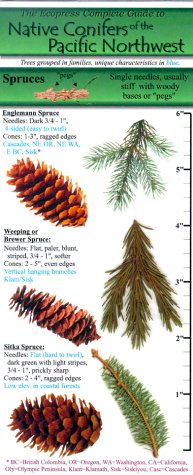 Plants and Trees