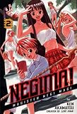 Negima: v. 2