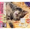 猫めくり365日/日めくり壁紙カレンダー My Dear Cats 365 Days