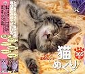猫めくり365日/日めくり壁紙カレンダー My Dear Cats 365 Days