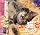 �L�߂���365��/���߂���ǎ�����ް My Dear Cats 365 Days