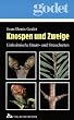 Knospen und Zweige. Einheimische Baum- und Straucharten