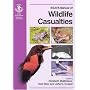 Bsava Manual of British Wildlife Casualties (BSAVA British Small Animal Veterinary Association)