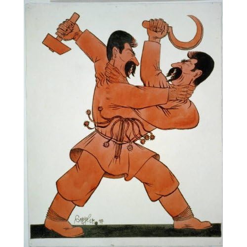 Siamese Twins Fighting