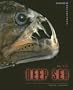 In the Deep Sea (Science Adventures)