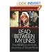 Read Between My Lines: The Musical And Life Journey of Stevie Nicks