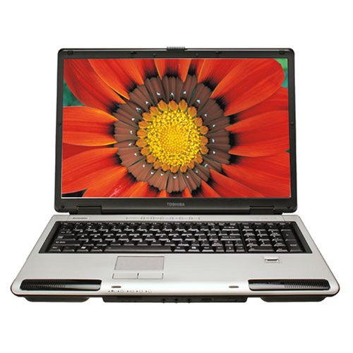 Toshiba Satellite P105-S6004 17 Laptop (Intel Core Solo Processor T1300, 1024 MB RAM, 100 GB Hard Drive, DVD SuperMulti Drive)
