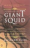 The Search for the Giant Squid