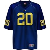 Nike Michigan Wolverines #20 Navy Replica Football Jersey