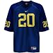 Nike Michigan Wolverines #20 Navy Replica Football Jersey