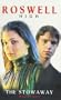 The stowaway ( roswell high , no.6 )