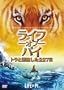 ���C�t�E�I�u�E�p�C/�g���ƕY������227�� [DVD]